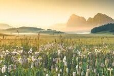 捷豹足球比分网-捷豹足球比分网，足球迷的实时数据宝藏库