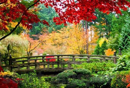 吉祥棋牌炸金花-吉祥棋牌炸金花，一场智慧与运气的博弈